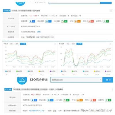 SEO查询软件排名，如何选择最适合你的工具