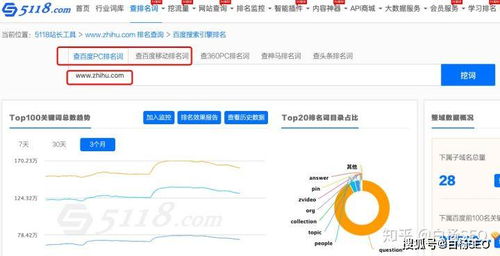 SEO配置文件，网站优化的关键步骤