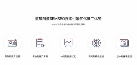 上海新品SEO价格信息解析