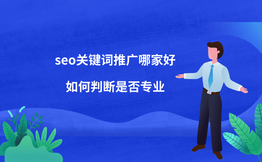 SEO优化无法获得更多流量的原因及应对策略