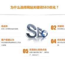 东莞SEO建站优化公司，引领企业数字化营销的先锋