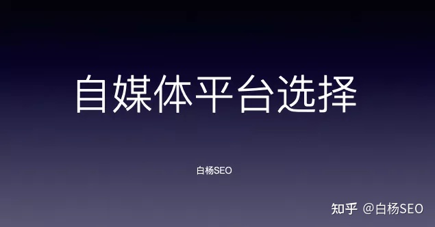 白杨SEO的独特魅力与百家争鸣的互联网营销策略