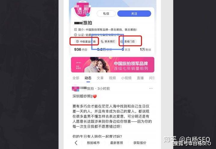 白杨SEO的独特魅力与百家争鸣的互联网营销策略