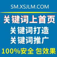 珠海网站SEO排名软件的重要性与优势