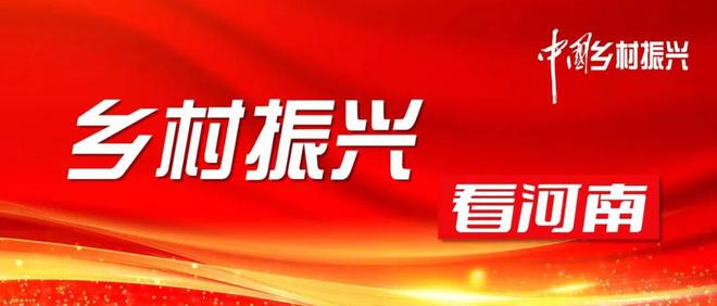 鹤壁山城区SEO优化策略与实践