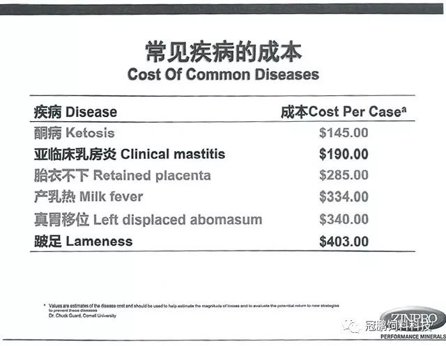 印度尼西亚SEO，探索网络推广的无限可能