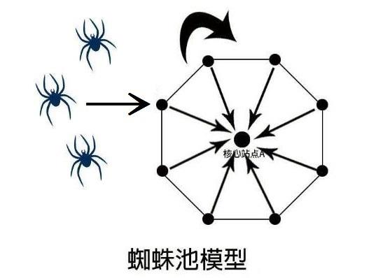 SEO推广技术之蜘蛛池的构建与运用