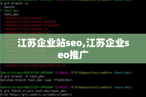 泰州SEO优化与东莞公司的紧密合作——电话沟通与策略分享