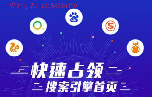 阜新SEO推广品牌公司，引领企业网络品牌建设的新篇章