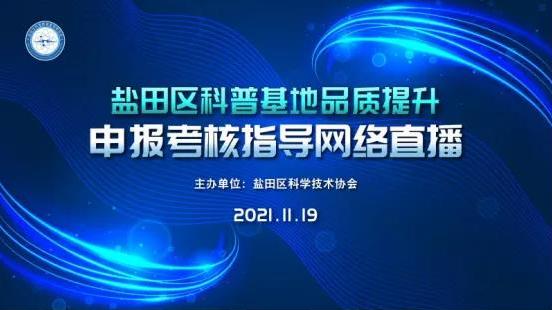 盐田区SEO服务，提升网站曝光率与品牌价值的利器