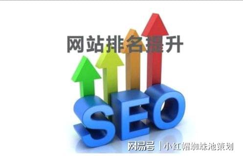 自学SEO，开启找工作与引流的全新篇章