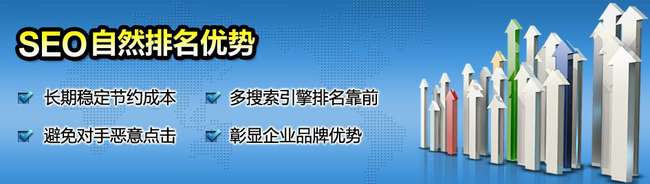 白云SEO优化排名价格解析