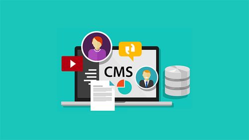 最好的SEO网站CMS，选择与优化的关键指南