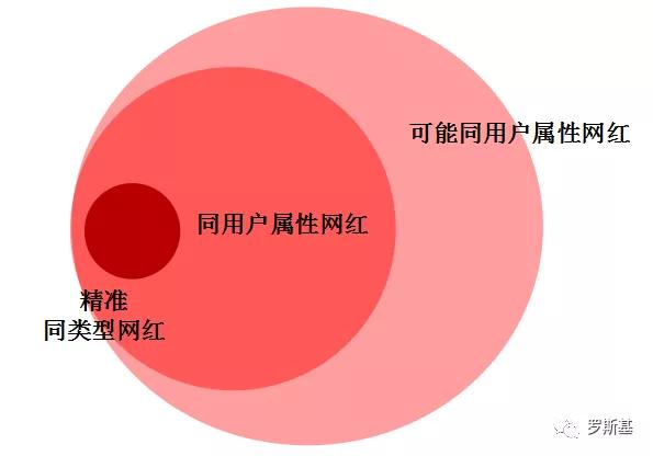 国外SEO营销案例，策略、实践与启示