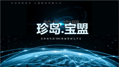 专业SEO优化，质量服务的核心驱动力