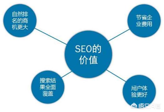 SEO项目实操视频，从入门到精通的全方位解析