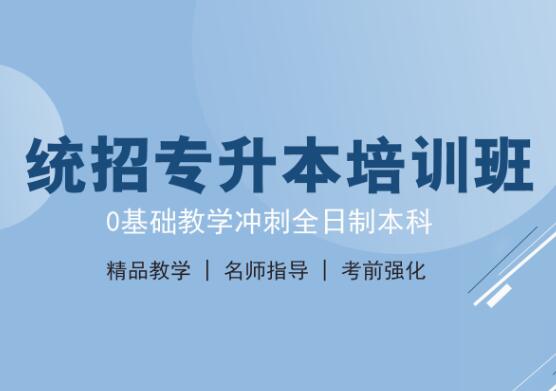 文山SEO培训选哪家？全面解析与推荐