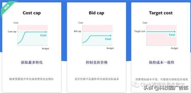 SEO竞价实操与广告策略