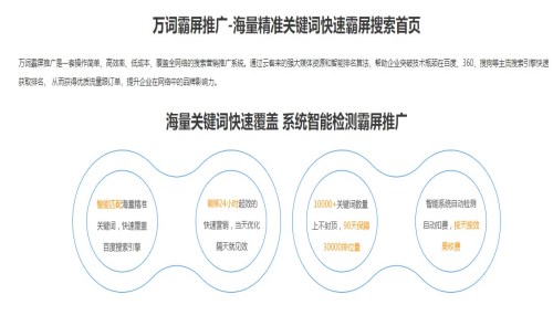 SEO万词霸屏操作，全面解析与实战指南