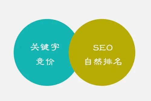 SEO竞价与优化营销，双轮驱动，助力企业网络营销