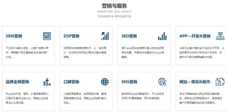 热门SEO系统代理项目，引领数字营销新时代的利器