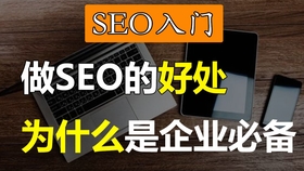 福清企业SEO优化服务哪家强？