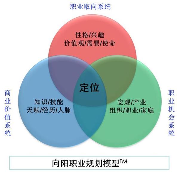 广东SEO网络营销策略与实践