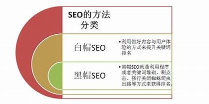 福州公司SEO，提升网络曝光与品牌价值的策略