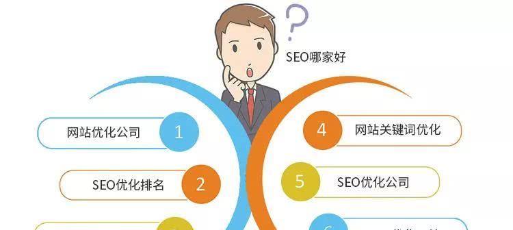 SEO新手如何进行网站优化