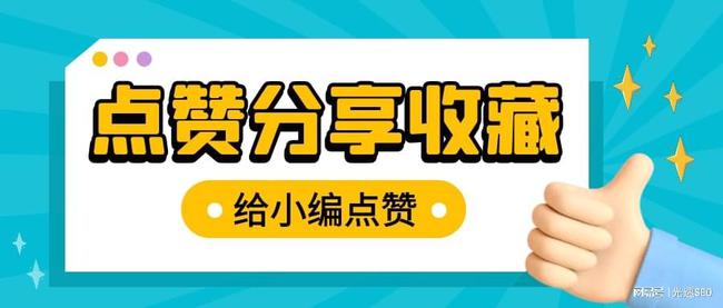 免费蜘蛛池SEO运营，提升网站流量的新策略