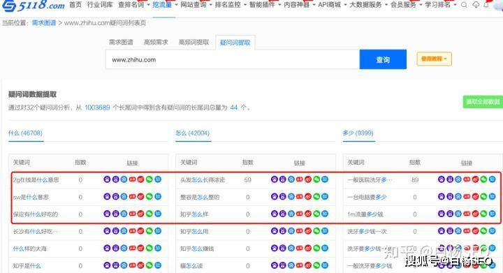 永久入口SEO综合查询，提升网站流量与排名的关键