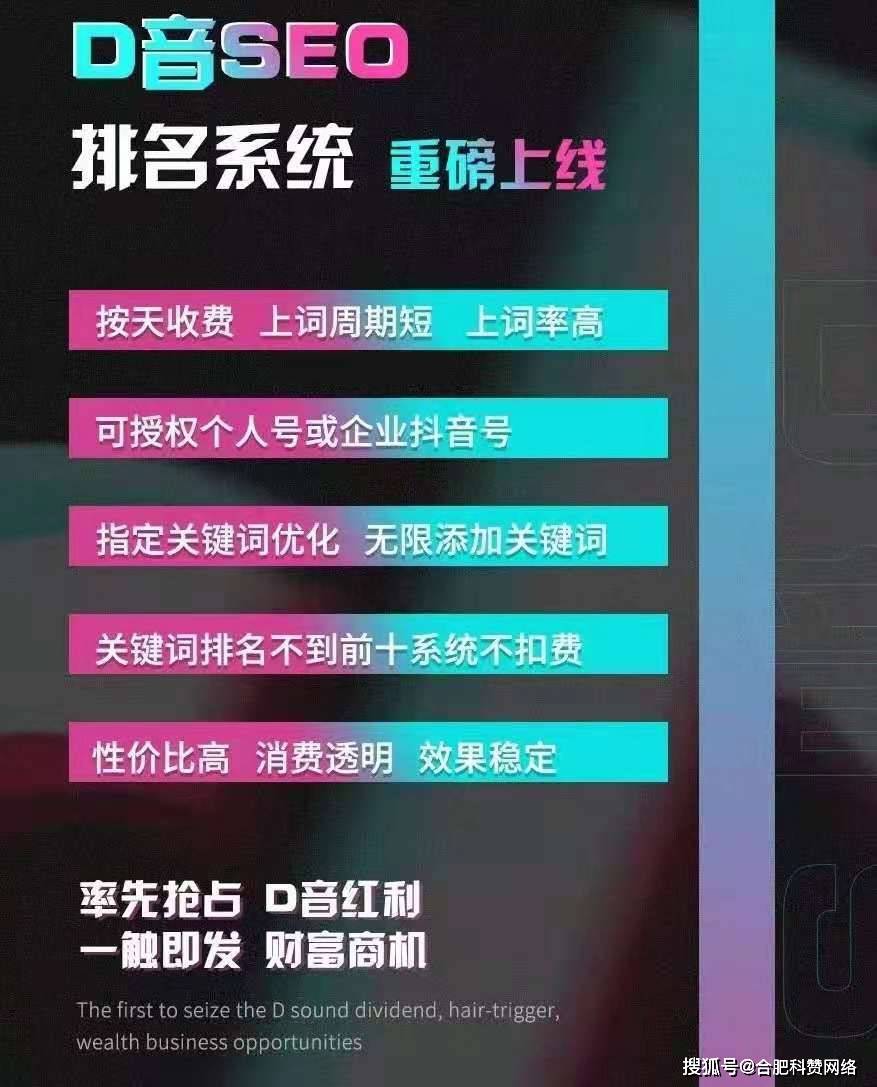 抖音SEO领跑者，引领抖音内容优化的新篇章