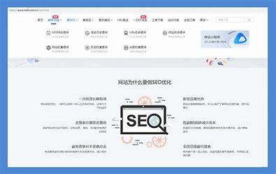 嘉兴SEO快排扣费，理解、应用与优化