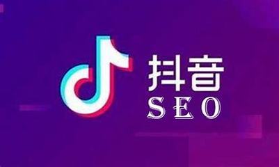 贞丰县抖音SEO优化策略