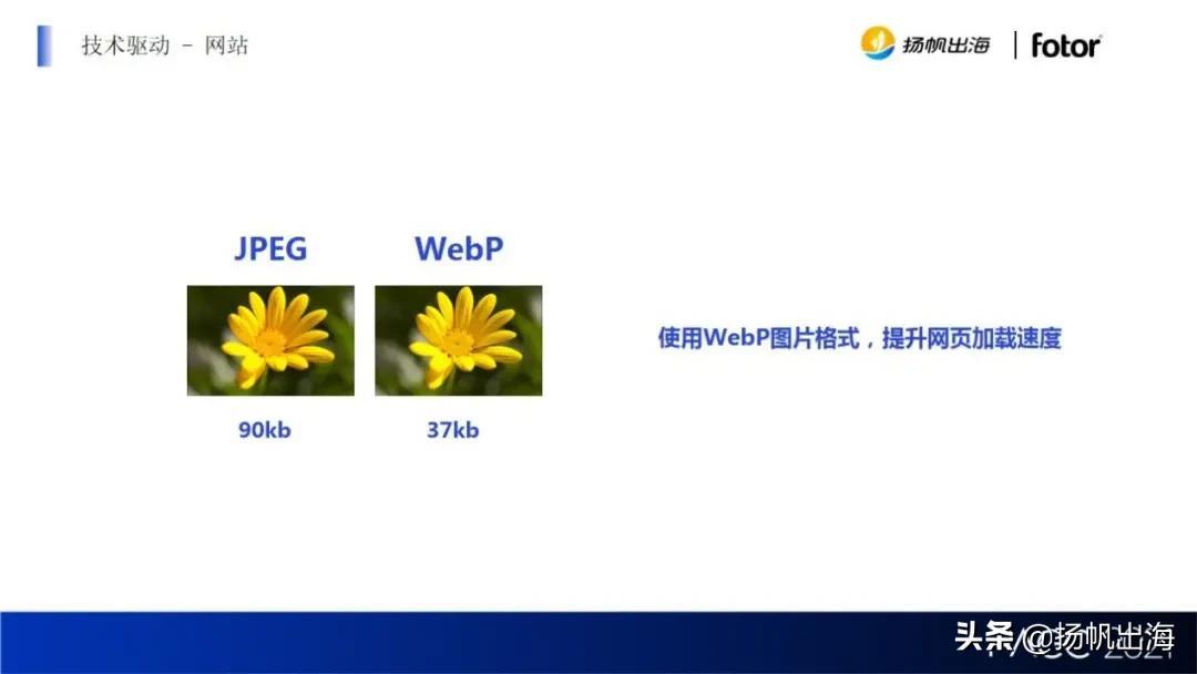 短视频获客SEO系统，解锁数字营销新篇章