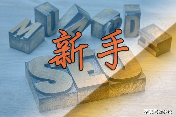 SEO新手如何有效进行外推