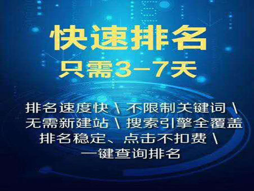 广告SEO推广，费用与价值之间的深度探讨