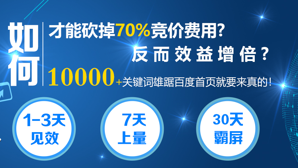 万词霸屏软件与SEO公司的合作，推动企业网络市场的新篇章