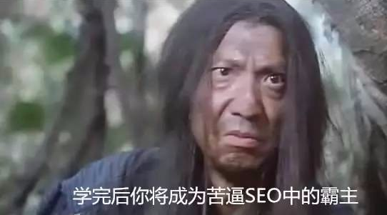 谁可以学好SEO？