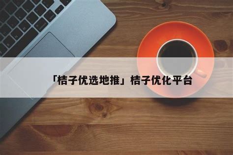 桔子SEO与网页时光机，探索网站优化的新领域