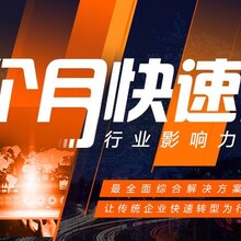 开封SEO网络营销公司，引领企业网络市场新篇章