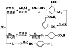 化学式SEO3，深入理解其结构与性质