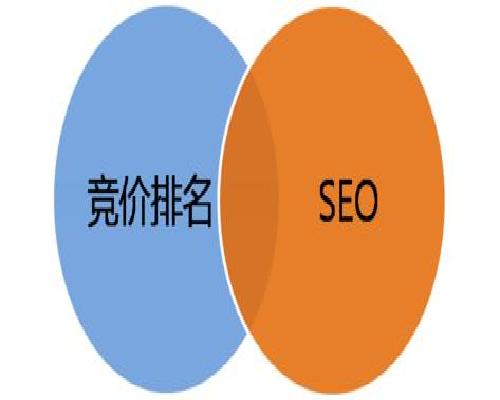 SEO精准推广服务商，助力企业实现网络市场最大化