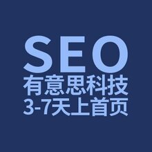 西湖区网络优化SEO的探索与实践