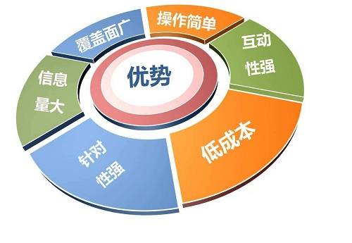 南平搜索引擎SEO公司，引领企业走向数字化营销新纪元