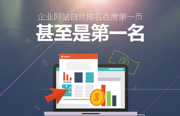 SEO网络营销哪家专业？—— 深度解析与选择指南