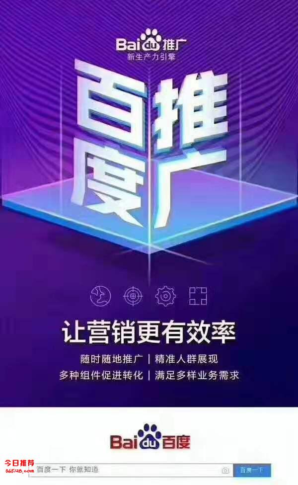 网上SEO招商与百度推广的深度解析