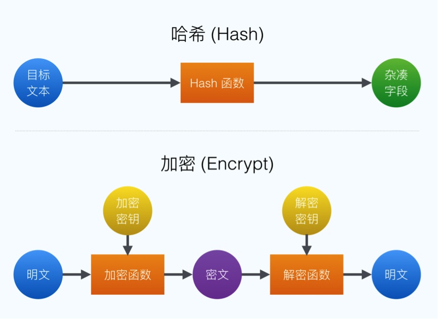 SEO1加密路线与普通网络路径的对比分析