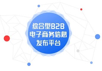 深入解析SEO专业B2B的内涵与价值