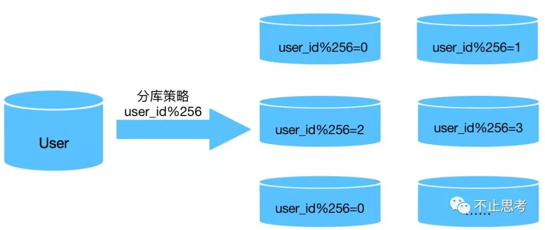 SEO优化中的数据库优化策略